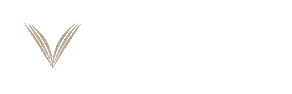 VPL-web-logo